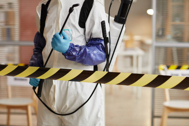 Professional Sewage Cleanup technician working in San Marcos, CA
